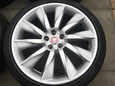 IMG_6898.JPG IMG_6898.JPG