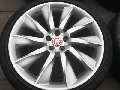 IMG_6899.JPG IMG_6899.JPG