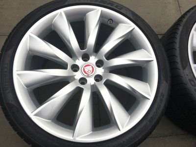 IMG_6900.JPG IMG_6900.JPG