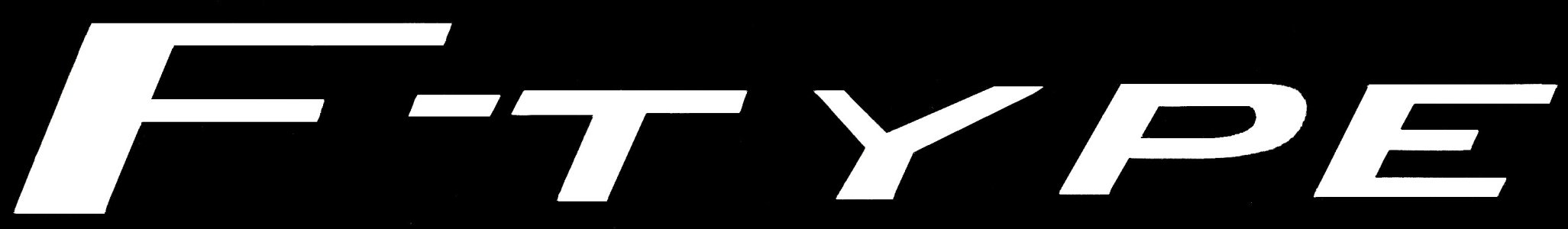 FTYPE LOGO_RETOUCH inverted_white_contrast.jpg