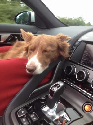 Resize of IMG_3002.JPG