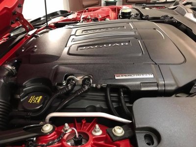 IMG_1518.JPG IMG_1518.JPG