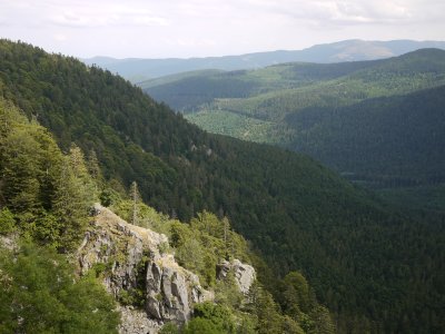 P1010395.JPG P1010395.JPG