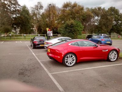 Spotted F type Theatre.jpg