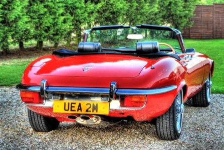 e type chelmer valley meet 2B.jpg e type chelmer valley meet 2B.jpg