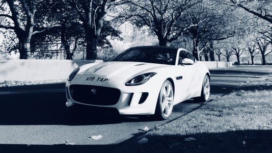 C24FE2BE-9B3A-4040-93D3-C91676BAB66D.jpeg C24FE2BE-9B3A-4040-93D3-C91676BAB66D.jpeg