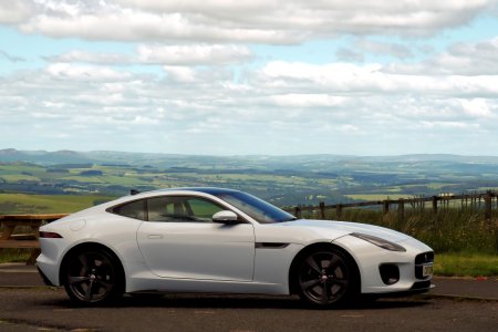 P6211720-fine1 - Copy.JPG