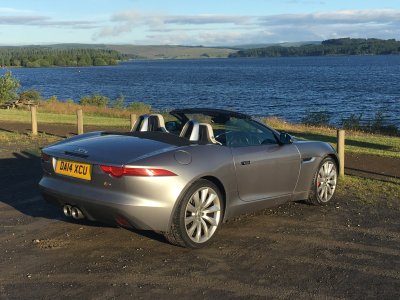 FF62A0EA-3D77-405D-9942-BA20416674CF.jpeg FF62A0EA-3D77-405D-9942-BA20416674CF.jpeg