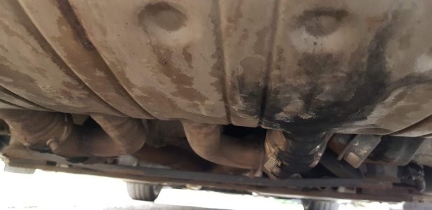 20180904_082720.jpg 20180904_082720.jpg