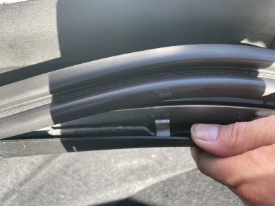 IMG_2354.jpeg IMG_2354.jpeg