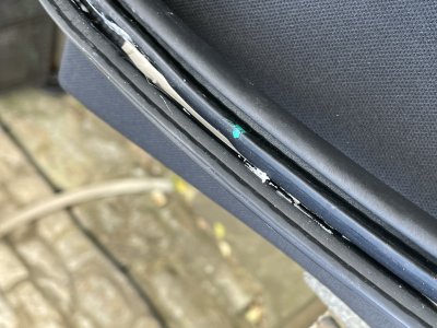 IMG_2348.jpeg IMG_2348.jpeg