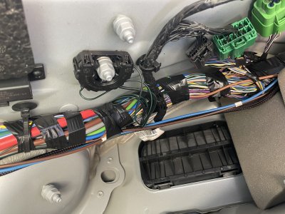 IMG_2355.jpeg IMG_2355.jpeg