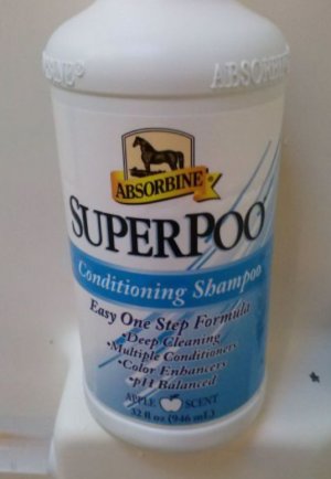 IMG_5750.jpeg IMG_5750.jpeg