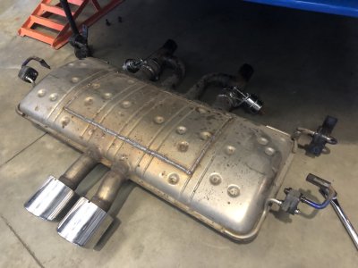 IMG_8439.jpeg IMG_8439.jpeg