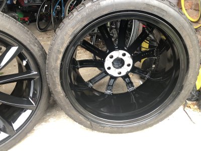 IMG_8532.jpeg IMG_8532.jpeg