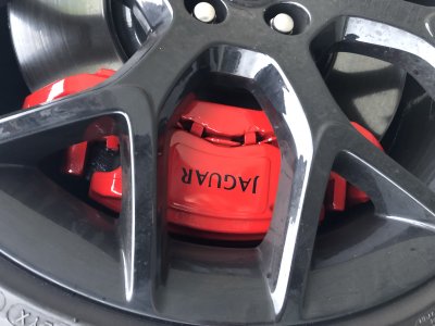 IMG_6411.jpeg IMG_6411.jpeg