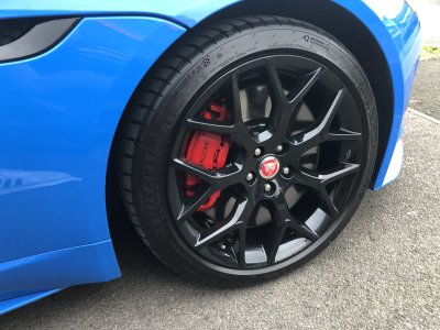 IMG_8663.jpeg IMG_8663.jpeg