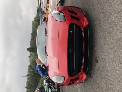 IMG_8895.jpeg IMG_8895.jpeg