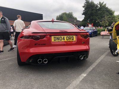 IMG_8896.jpeg IMG_8896.jpeg