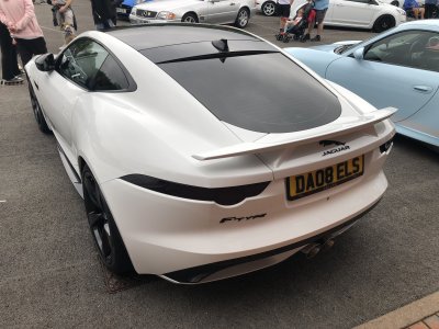 IMG_8898.jpeg IMG_8898.jpeg