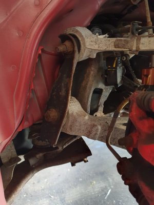 PHOTO-2024-07-26-09-52-18 3.jpeg