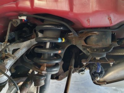 PHOTO-2024-07-26-09-52-18 4.jpeg