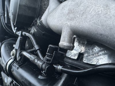 CB6EFC03-C6D6-4192-9983-C73959A47C7A.jpeg CB6EFC03-C6D6-4192-9983-C73959A47C7A.jpeg