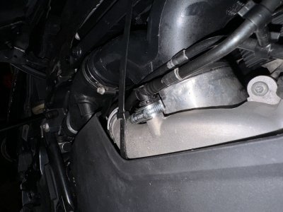 IMG_9790.jpeg IMG_9790.jpeg