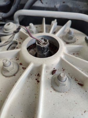 WhatsApp Image 2024-10-22 at 13.24.48_26064526.jpg