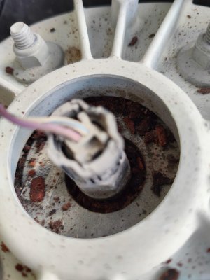 WhatsApp Image 2024-10-22 at 13.25.14_d63a05e8.jpg