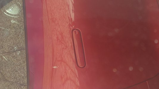 20241027_094206.JPG 20241027_094206.JPG