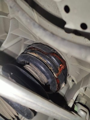 WhatsApp Image 2024-10-29 at 09.16.32_2f4de886.jpg