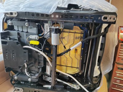 IMG_20230728_100140 - Copy.jpg