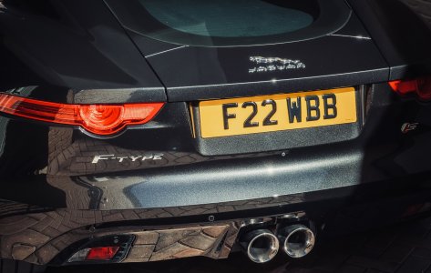 IMG_1822.jpeg IMG_1822.jpeg