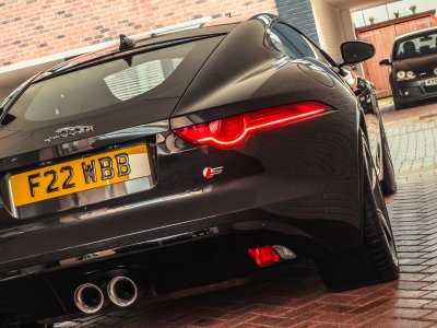 IMG_0795.jpeg IMG_0795.jpeg