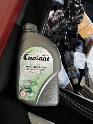 S__9568261_0.jpg S__9568261_0.jpg