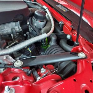 S__9568263_0.jpg S__9568263_0.jpg