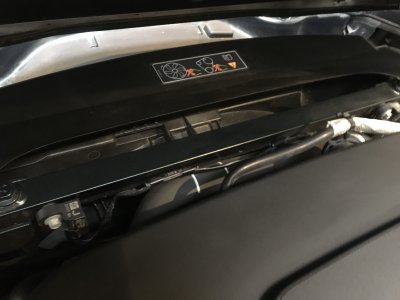 IMG_0151.jpeg IMG_0151.jpeg