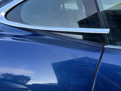 IMG_7192.jpeg IMG_7192.jpeg