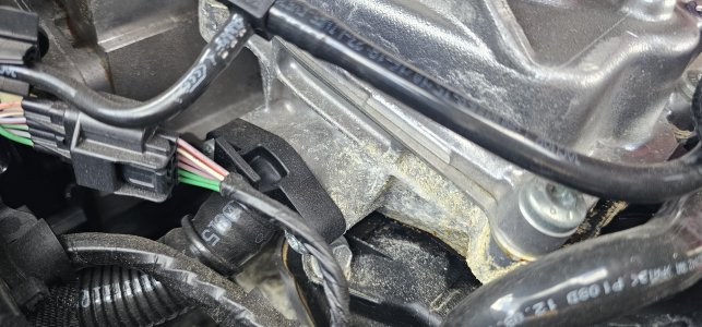 20250726_170548.jpg 20250726_170548.jpg