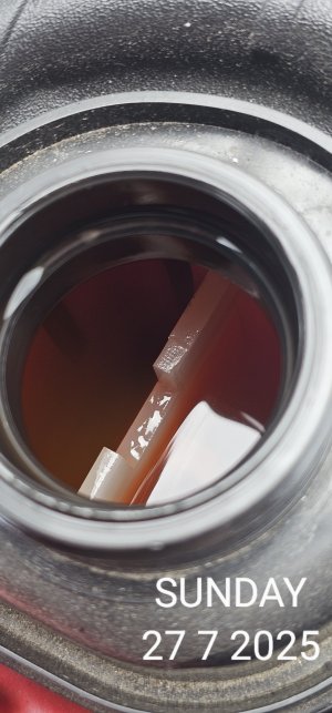 20250727_125505(2).jpg 20250727_125505(2).jpg