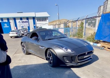 IMG_7149.jpeg IMG_7149.jpeg