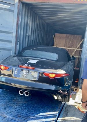 IMG_7148.jpeg IMG_7148.jpeg