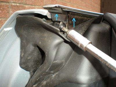 1 (with arrow pointers).JPG