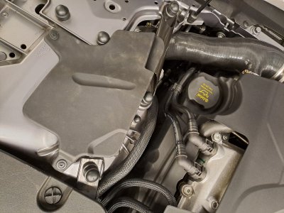 20251010_150635.jpg 20251010_150635.jpg