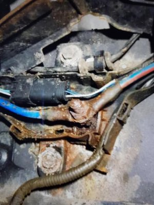 20190302_143647.jpg 20190302_143647.jpg