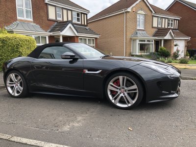 165FDF5B-BD41-46EB-9C77-F49EBD4E6719.jpeg 165FDF5B-BD41-46EB-9C77-F49EBD4E6719.jpeg