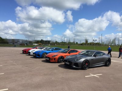 256126AE-5857-4686-90D4-97654FB4BFD4.jpeg 256126AE-5857-4686-90D4-97654FB4BFD4.jpeg