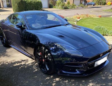 IMG_1005.jpg IMG_1005.jpg