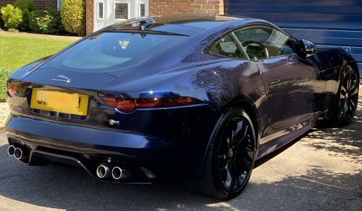 IMG_1006.jpg IMG_1006.jpg